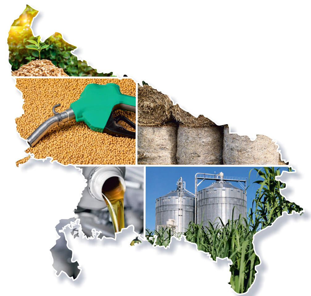 Uttar Pradesh Bioenergy